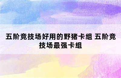 五阶竞技场好用的野猪卡组 五阶竞技场最强卡组